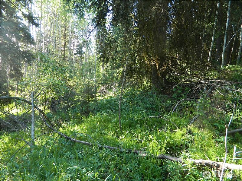 4th image of 0 TBD Lake View Drive