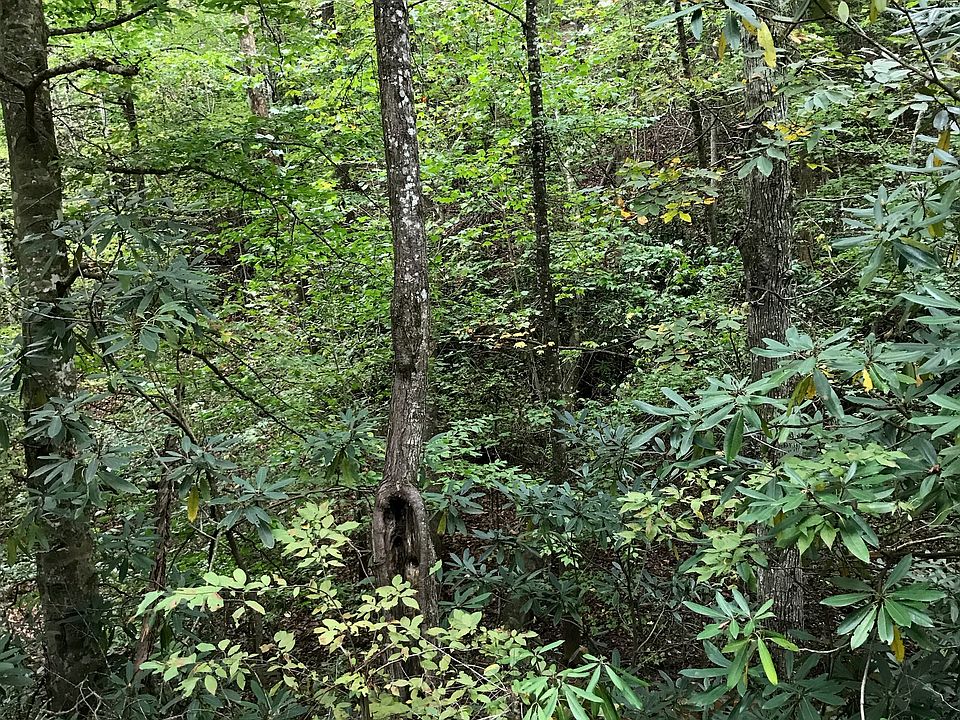 1st image of Dogwood Dr #111