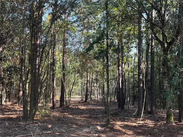 127 Mayhaw Rd, Covington, LA 70435