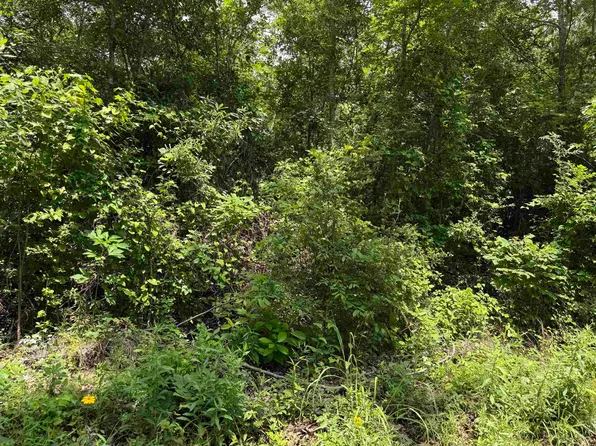Sarber Rd, Jefferson, TX 75657