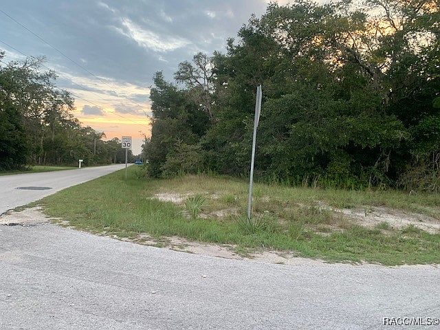 2nd image of 11659 W Checkerberry Dr