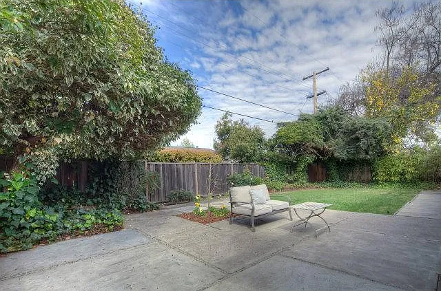 Back yard