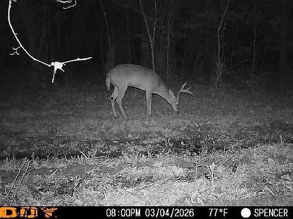 Screenshot 20260304 202744