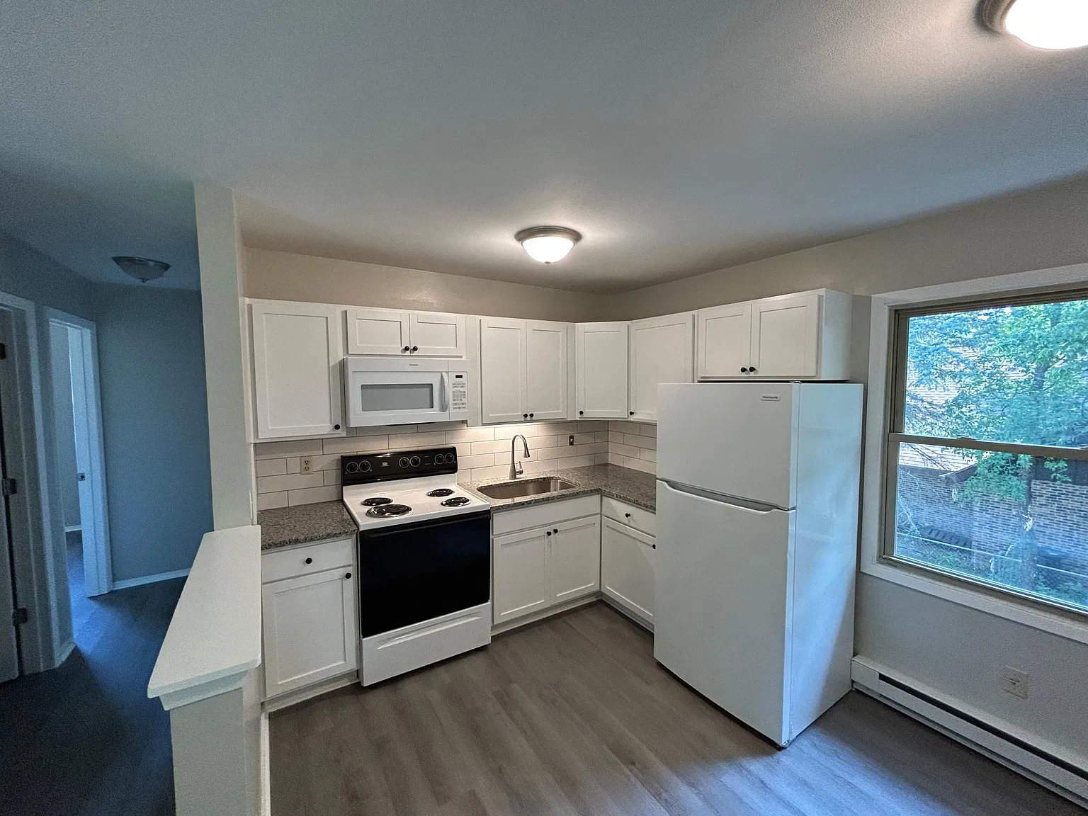 2 bed, 700 sqft, $1,250 — Photo 3