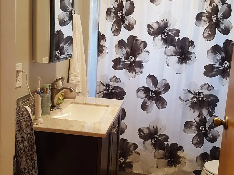 Bathroom; shower with tub and washing machine behind door