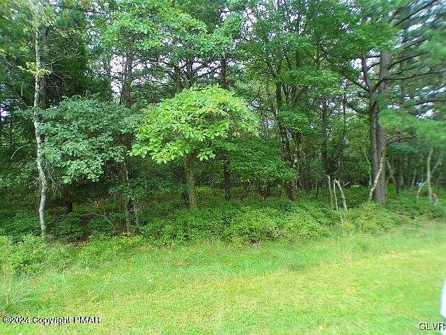 2nd image of 79 Patten Cir