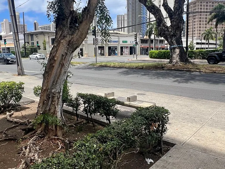 1670 Kalakaua Ave #904 — Photo 21
