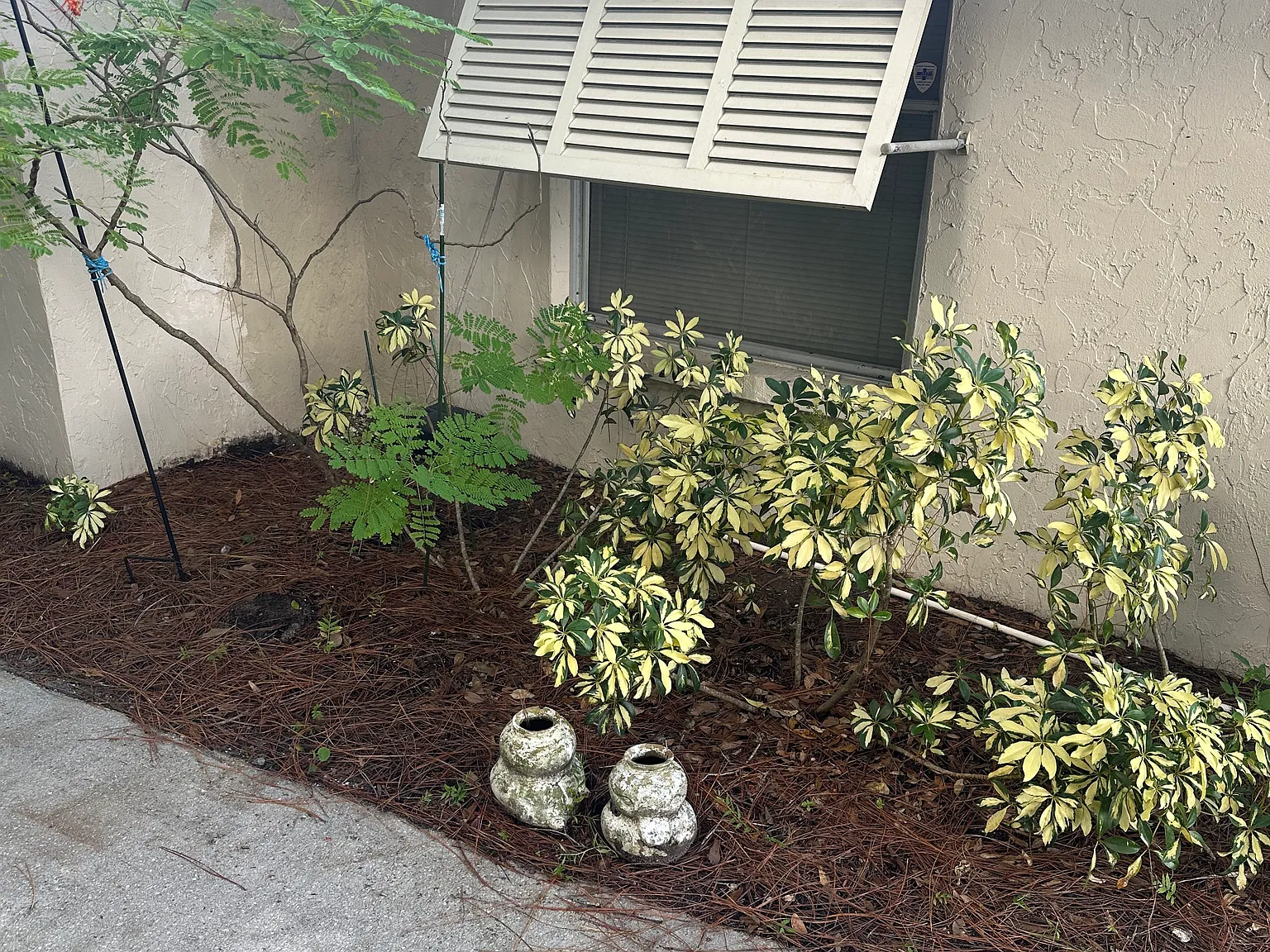 2 bed, 950 sqft, $1,750 — Photo 3