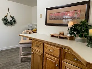 Kitchen counter area