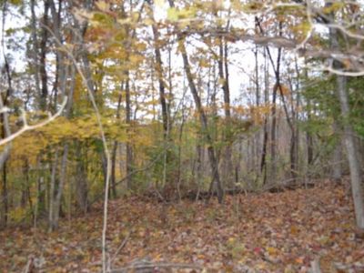 1070AC Red Oak Ridge Rd, Celina, TN, 38551