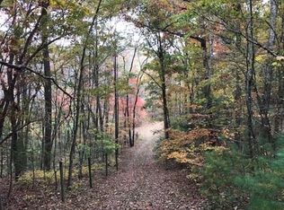 250 Ethan Wilson Way UNIT 0, Morganton, GA 30560