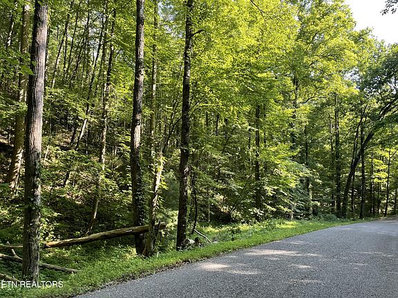 2nd image of 0 Turkey Creek Rd