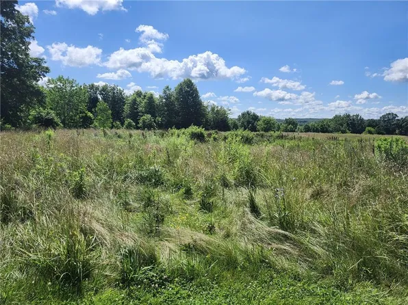 S Walnut St, Newtown, MO 64667