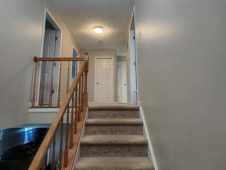 4317 Amelia Dr — Photo 17