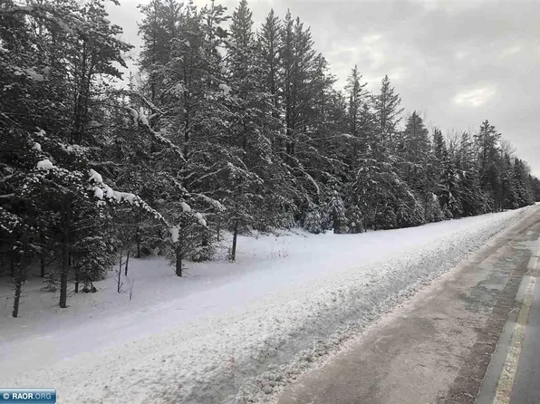 Tbdetermined Highway Willow #73, Cook, MN 55723