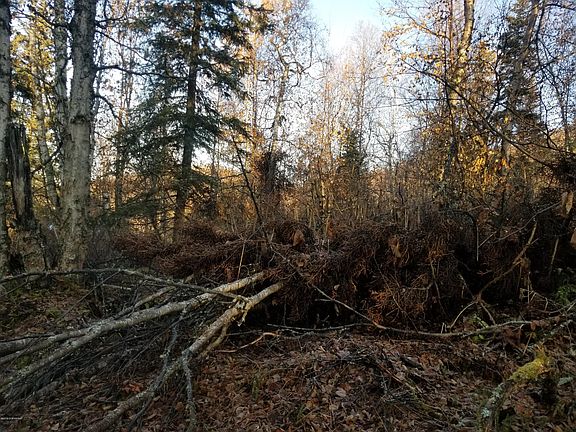 5th image of 16211 Parksville Dr