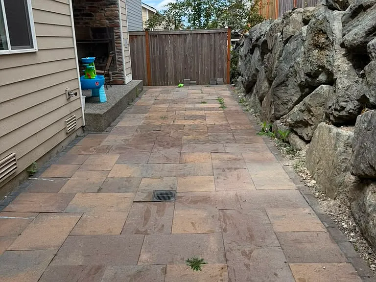 Backyard with Paver Patio