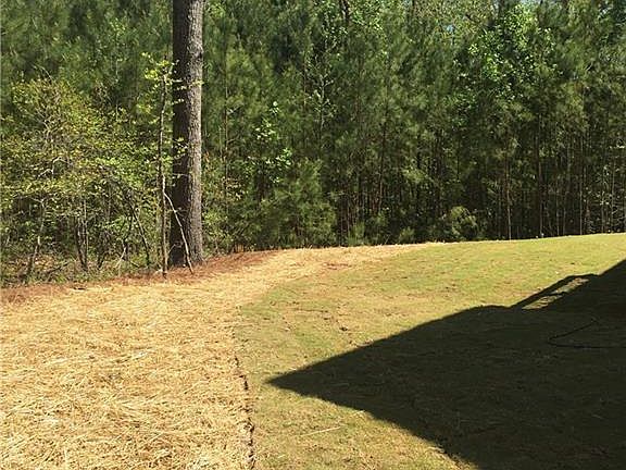 Beautiful Backyard Lush Trees