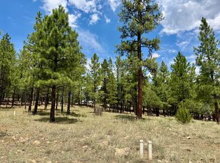 2684 Apache Dr, Happy Jack, AZ 86024