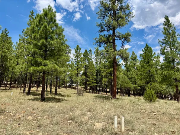 2684 Apache Dr, Happy Jack, AZ 86024