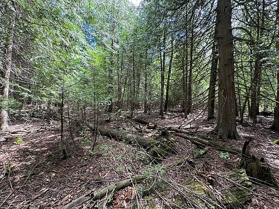 3rd image of LOT 1 Horseshoe Bay Rd