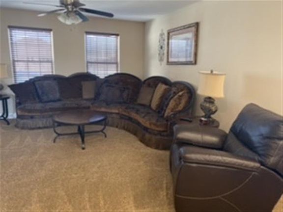 Large L.R., Super Nice Furniture
