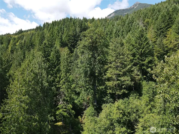 0 Cannon Road, White Pass, WA 98937