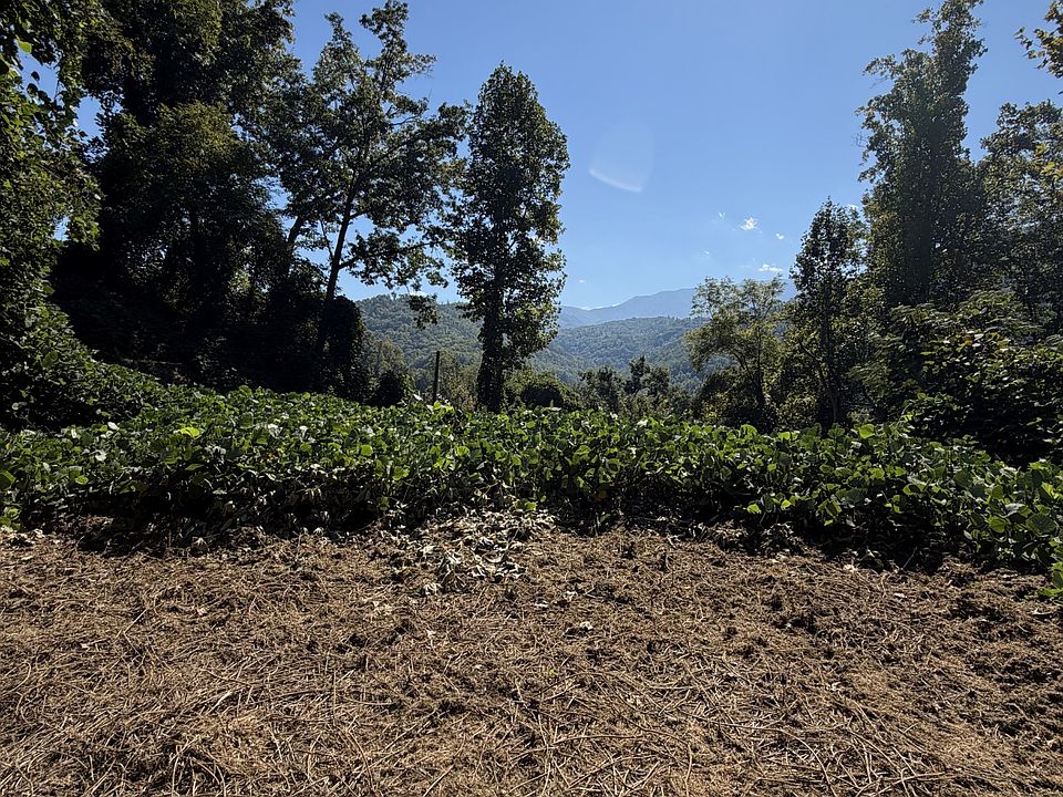 1st image of 837 Clabo Loop