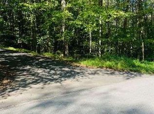 220 Maxwell Mountain Rd, Blue Ridge, GA 30513