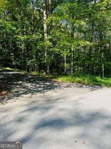 220 Maxwell Mountain Rd, Blue Ridge, GA, 30513