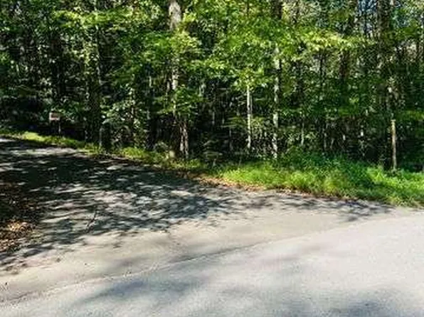 220 Maxwell Mountain Rd, Blue Ridge, GA 30513