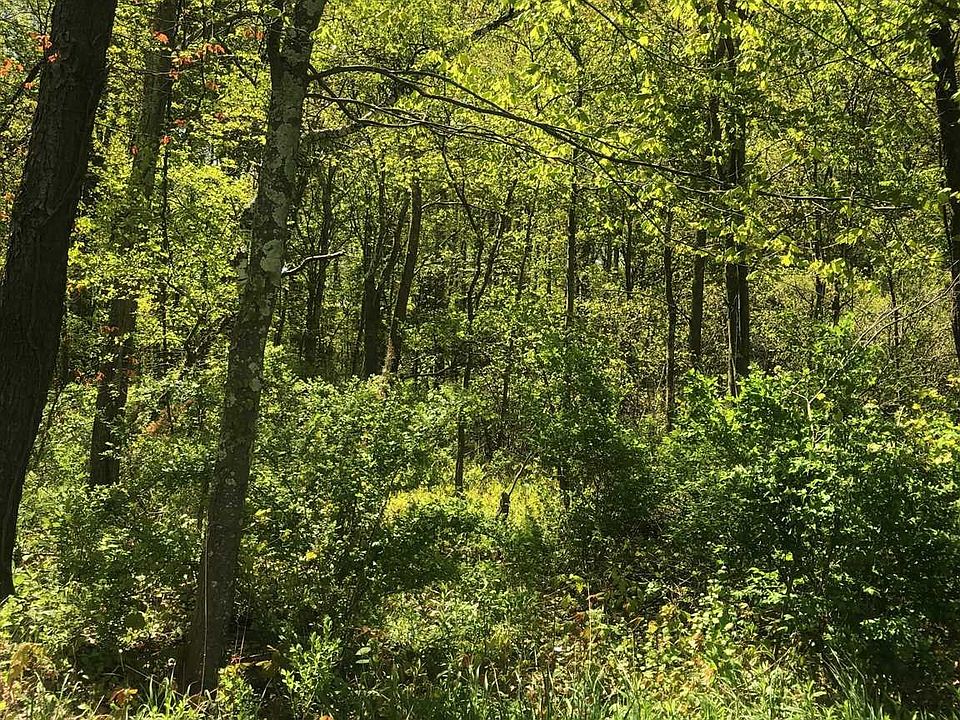 Lake Rd, Pine Plains, NY 12567 Zillow