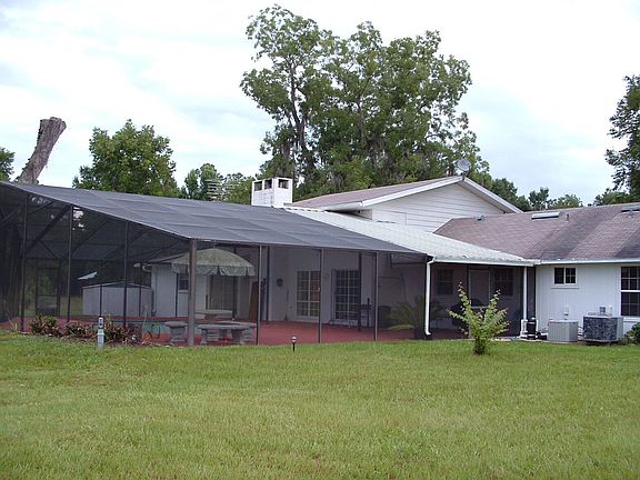 back view