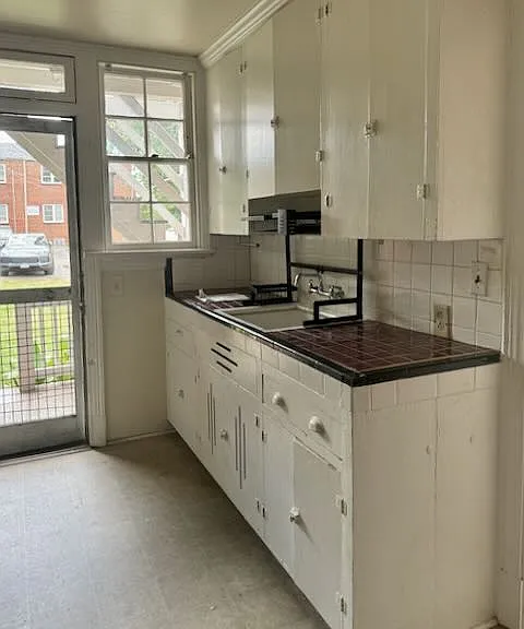 kitchen with backyard access