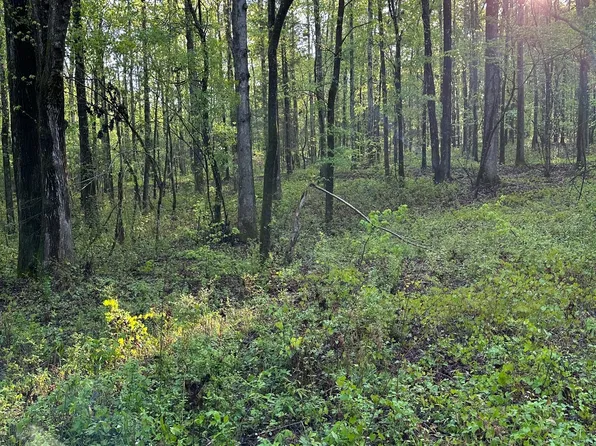 1433 Cleveland Farm Rd, Locust Grove, GA 30248