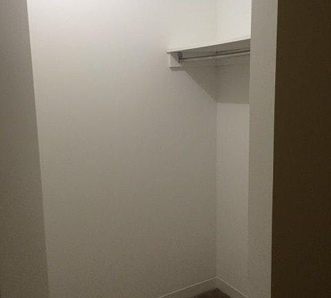 Walk-in Closet #2- in bedroom