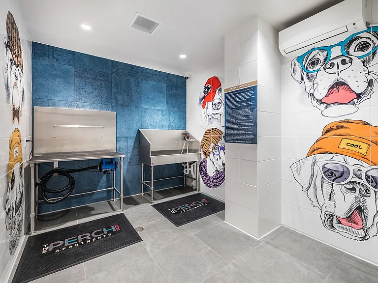 Pet Spa