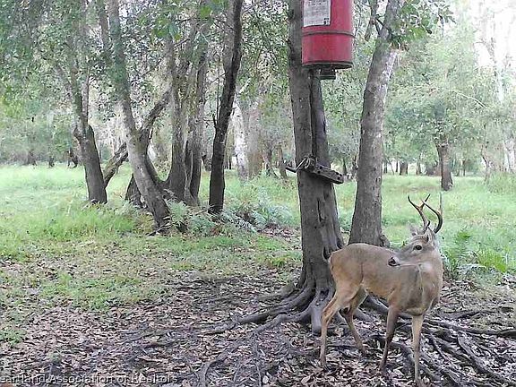 3rd image of 1042 Arbuckle Branch Rd