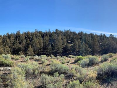 20367 Rock Canyon Rd, Bend, OR, 97703