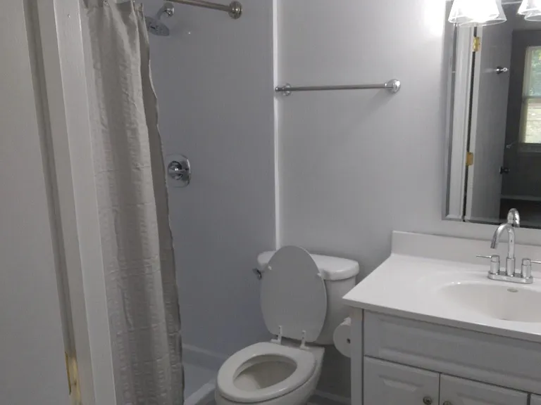 Master bath with walk-in shower.