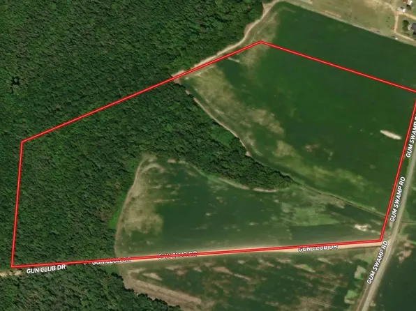 TBD Gum Swamp Rd., Sellers, SC 29592