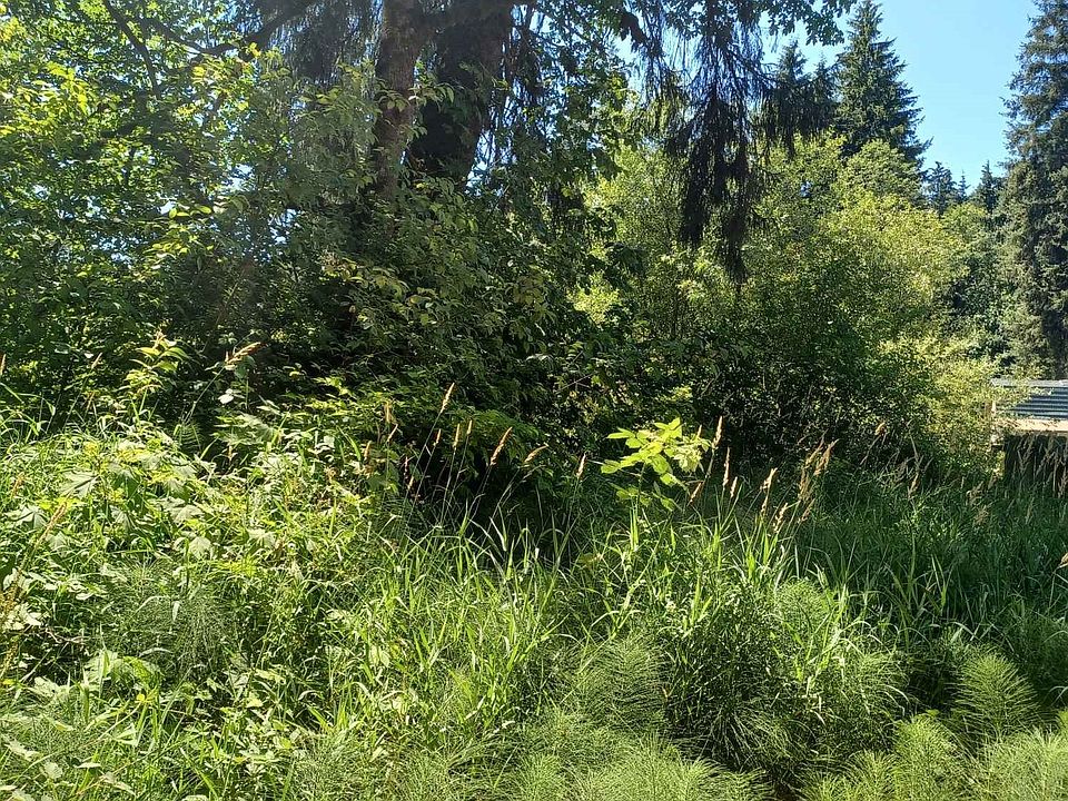 1st image of 0 x 241st Avenue SE