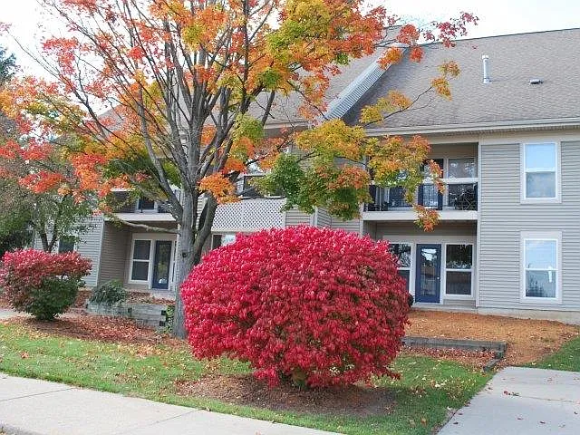 Pine Lane Estates — Photo 20
