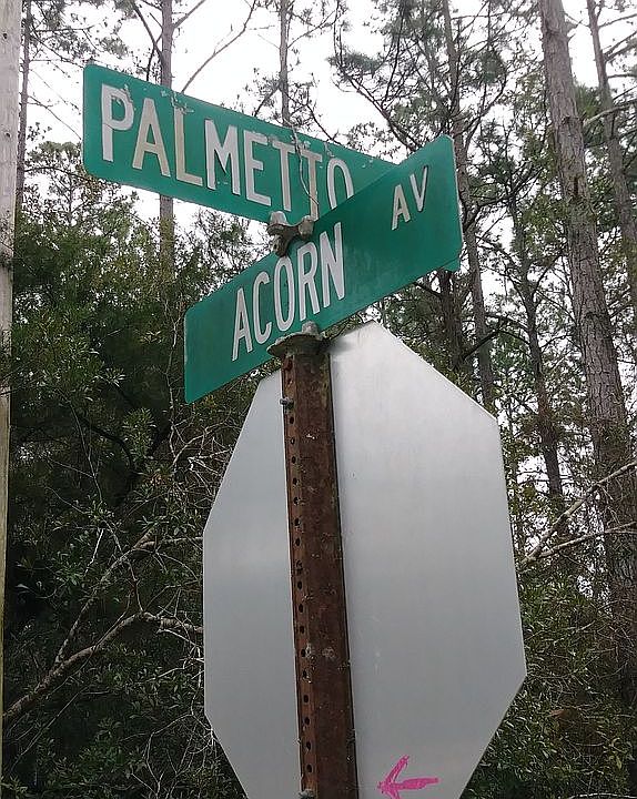 1st image of 0 Palmetto St