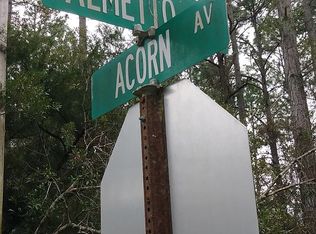 0 Palmetto St, Bunnell, FL 32110
