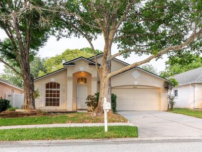 24839 Wild Frontier Dr, Land O Lakes, FL, 34639