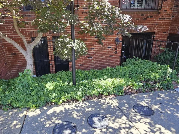502 Brummel Ct NW, Washington, DC 20012