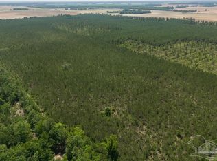 11 Bud Diamond Rd, Jay, FL 32565