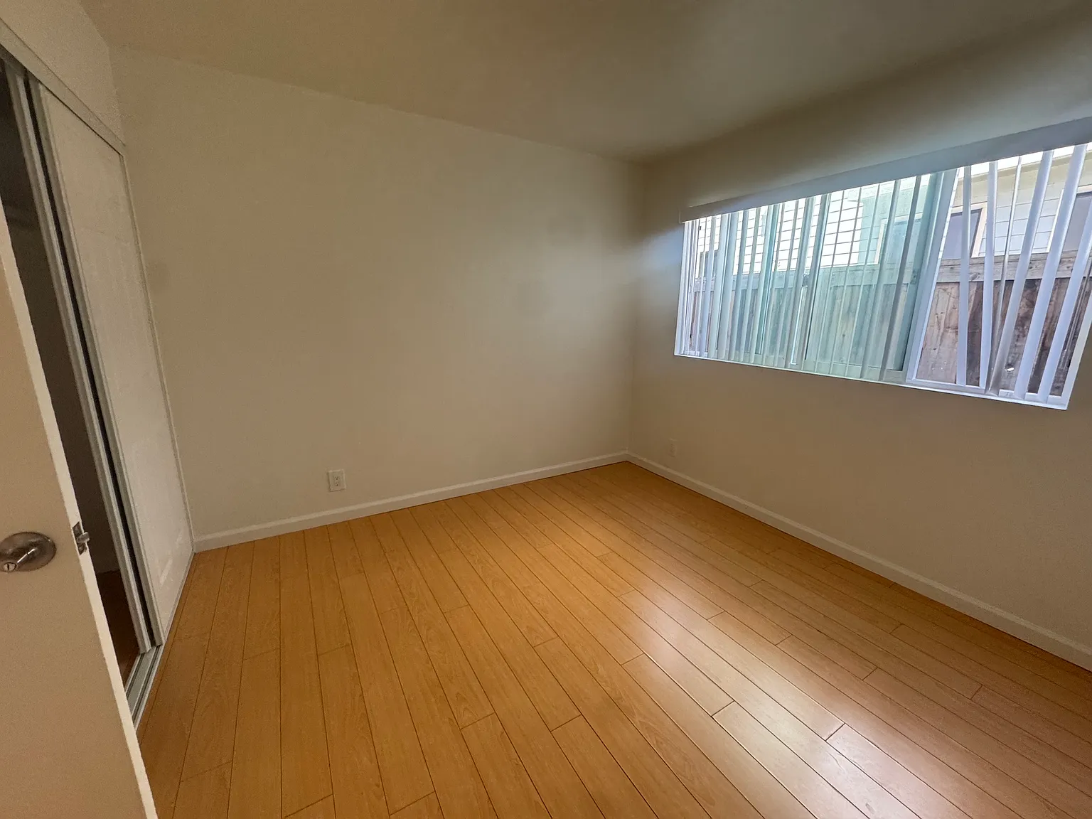 1 bed, 347 sqft, $1,800 — Photo 4