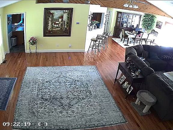 Living-dining area